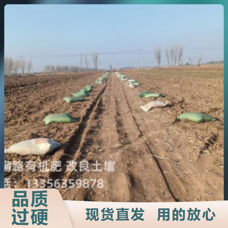 發(fā)酵雞糞怎樣給蔬菜大棚施肥