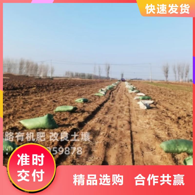 佛山石灣街道干雞糞土壤肥力