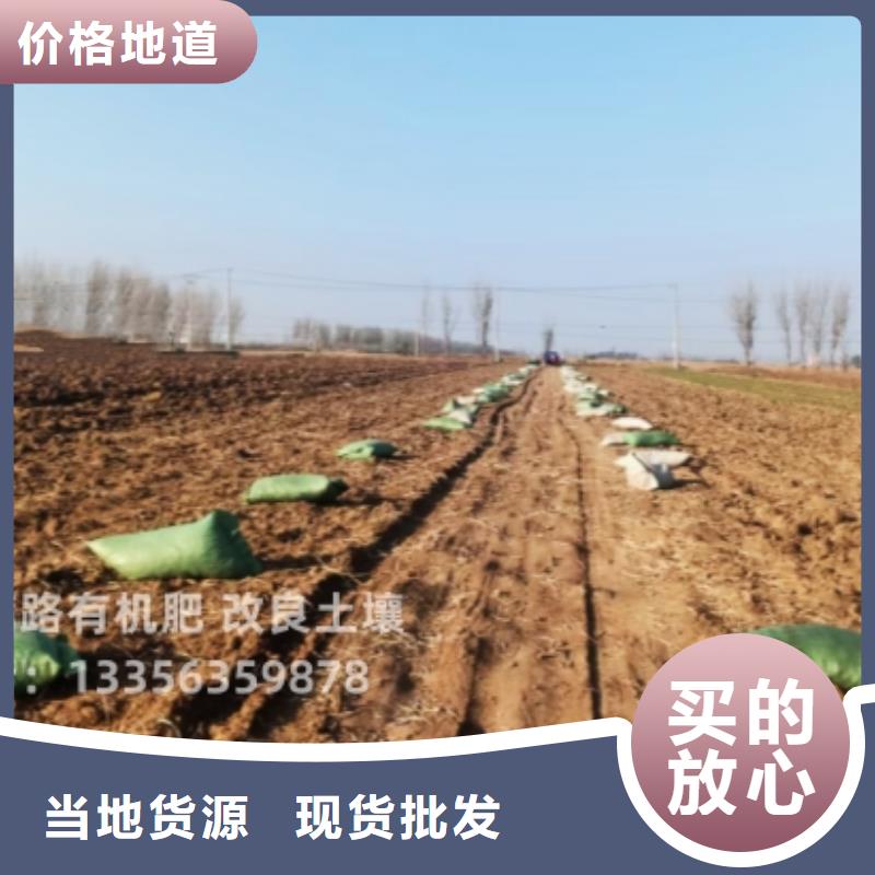 羊糞有機肥適合什么施肥