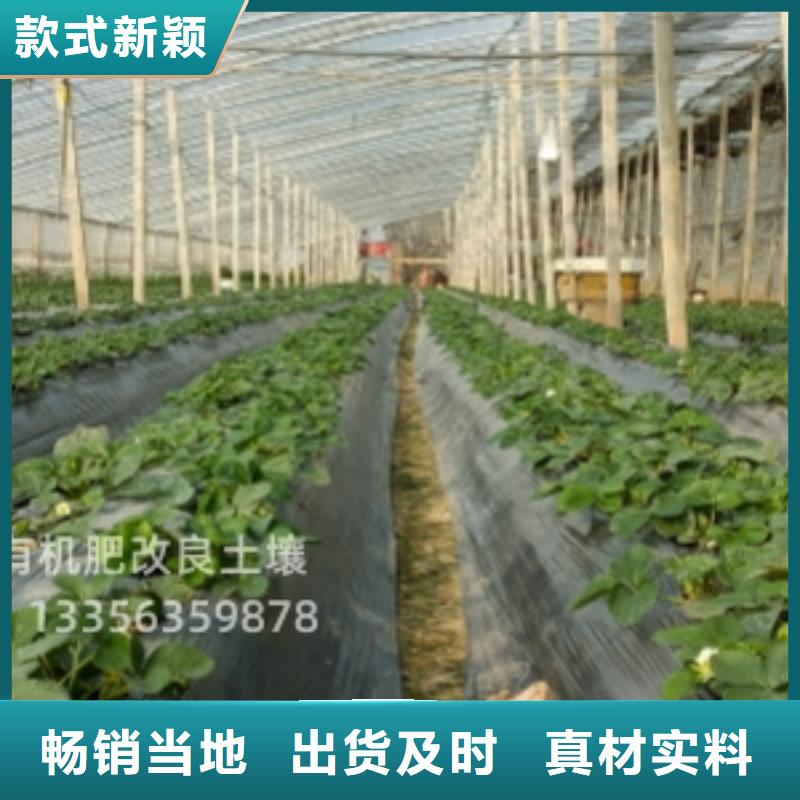 羊粪有机肥成分