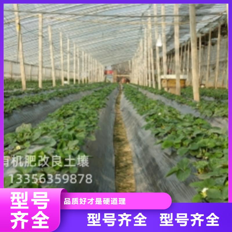 鸡粪有机肥改良土壤