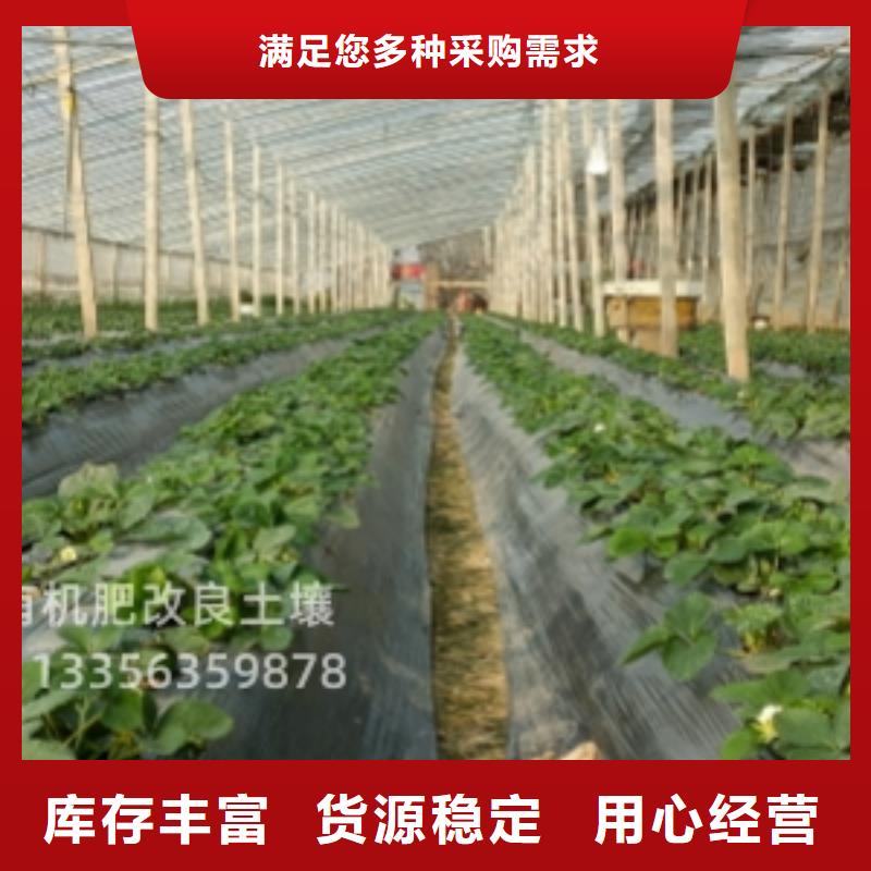 曬干雞糞不錯