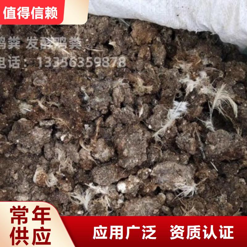 稻殼雞糞肥田壯苗