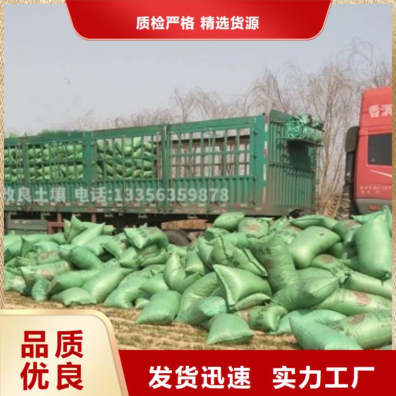 干鸡粪块肥沃耕地都说好