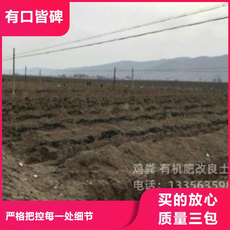 干鸡粪块适合什么施肥