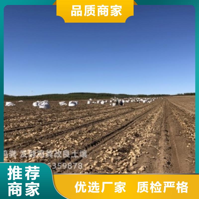 發(fā)酵雞糞助力莊稼豐收