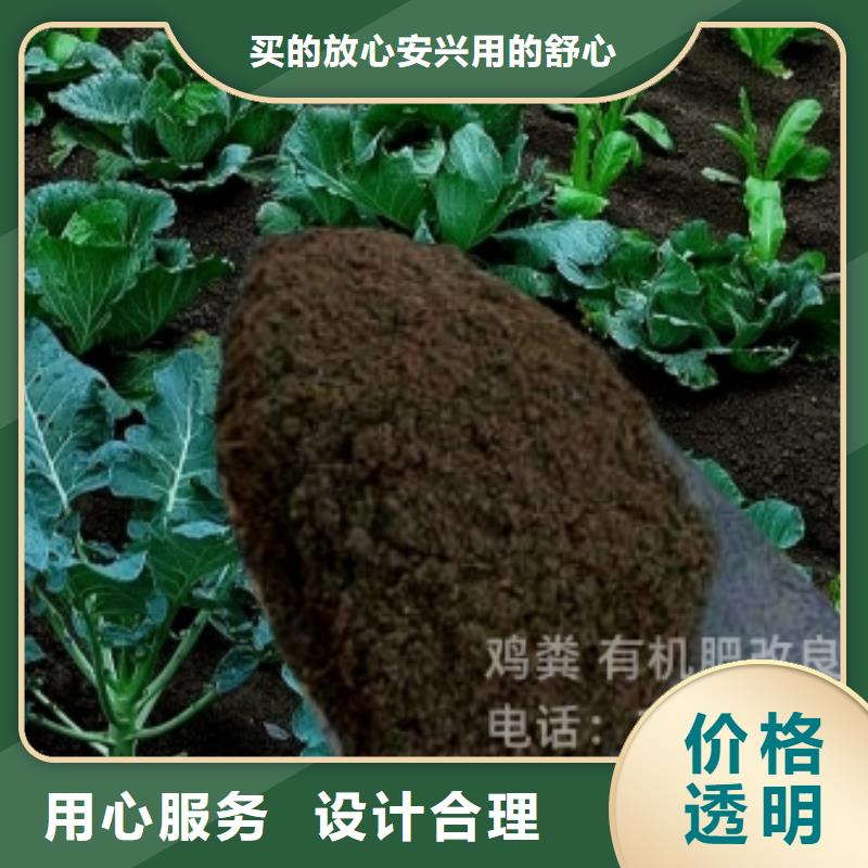 晒干鸡粪促进循环利用