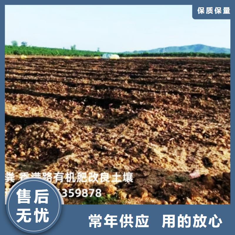有機肥改善蘋果品質(zhì)