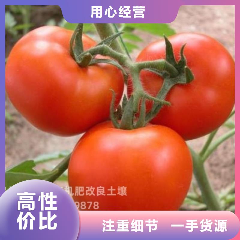 干鸡粪块靠谱