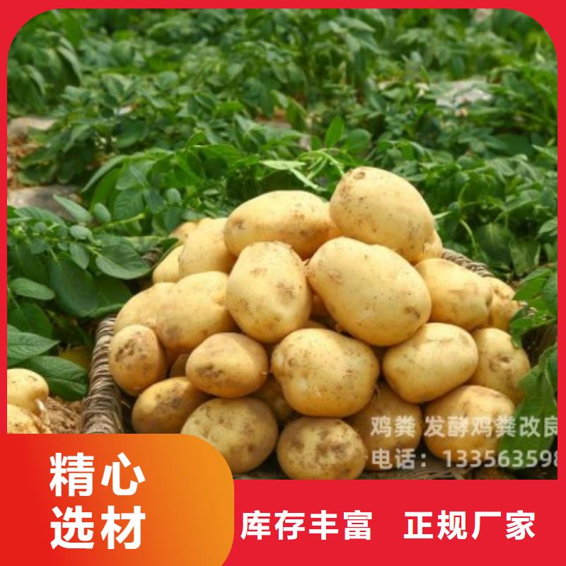 发酵鸡粪联系商家
