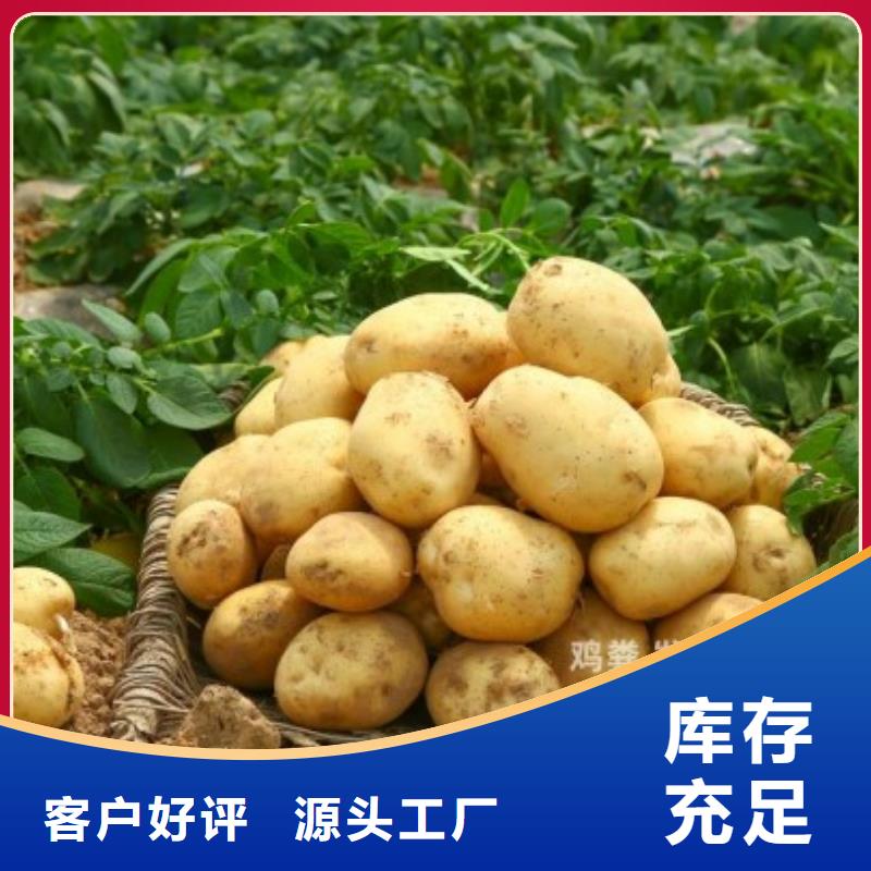 定安縣肥水雞糞適合什么施肥