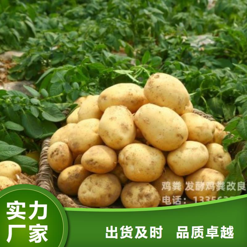 发酵鸡粪土壤肥力