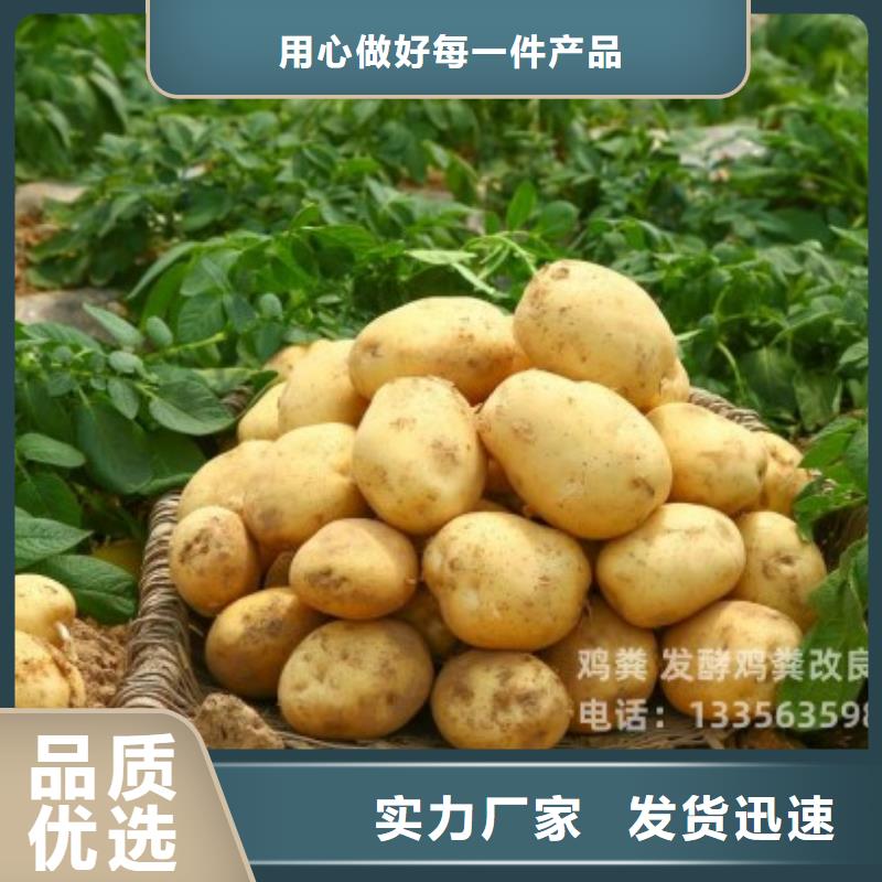 稻殼雞糞肥田壯苗