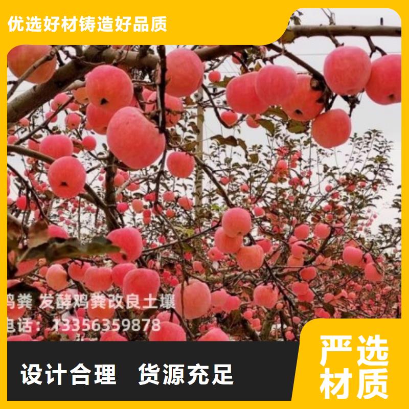 稻殼雞糞改良大棚地土壤
