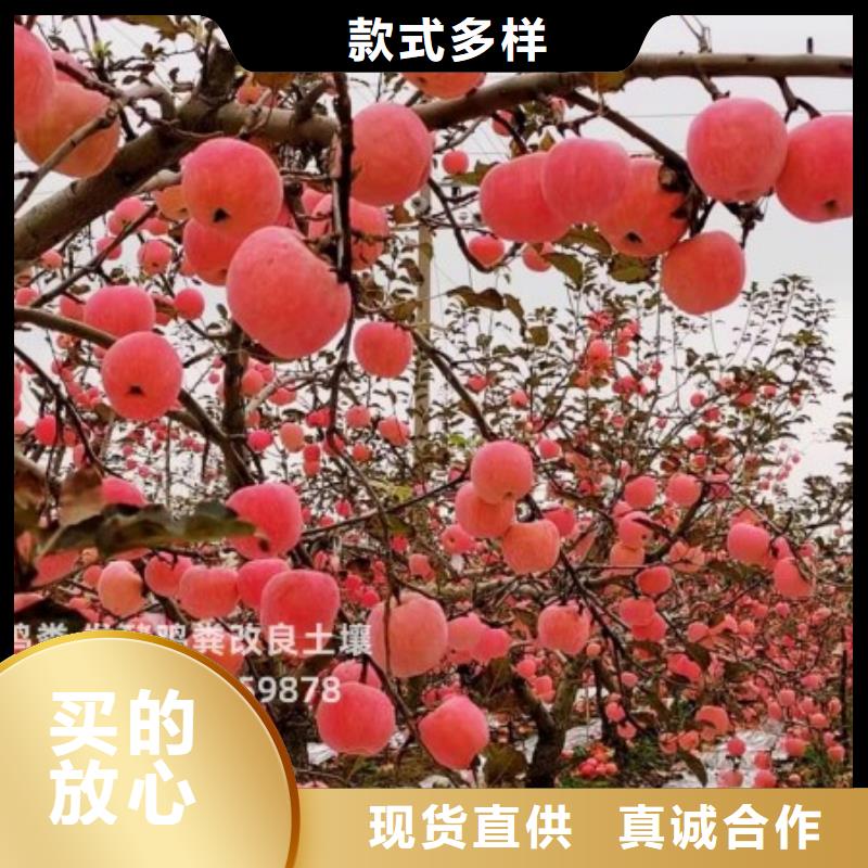 干雞糞破除土壤板結(jié)