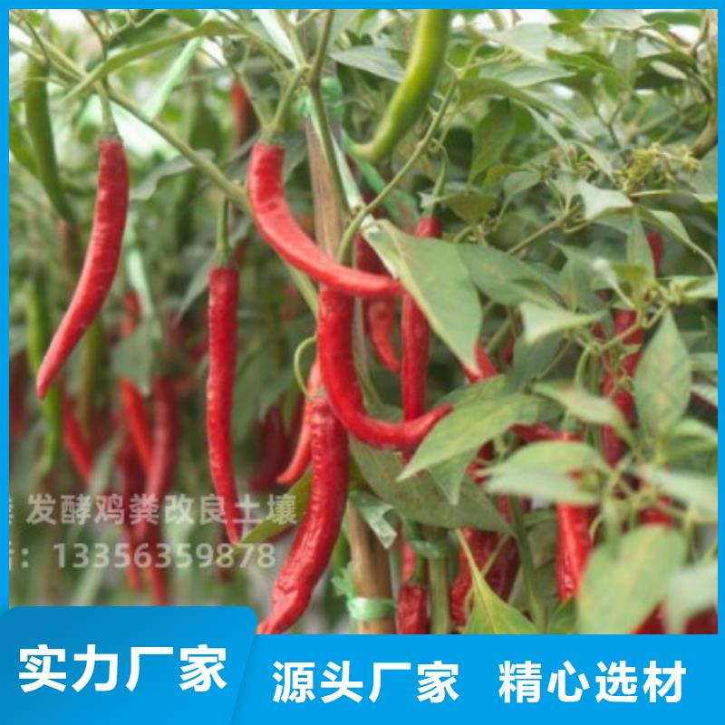 发酵鸡粪蔬菜施肥