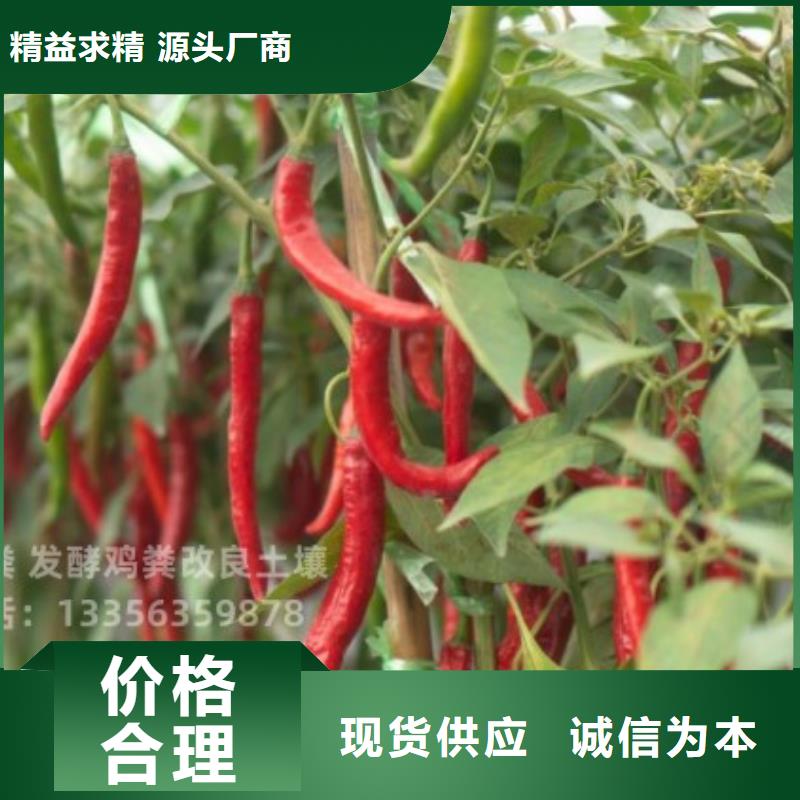 干雞糞誠信天下