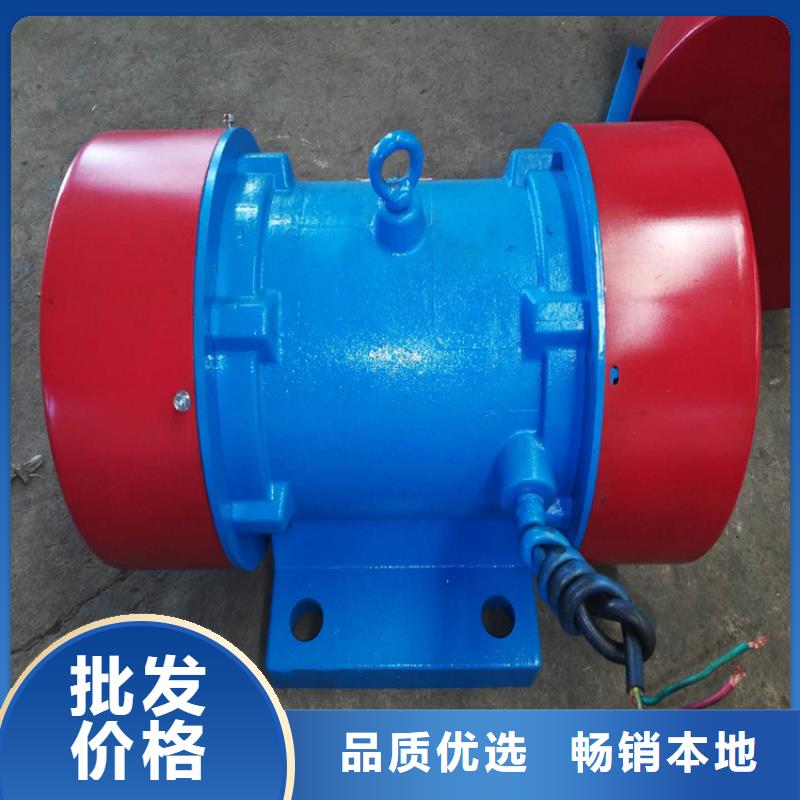 振動(dòng)電機(jī)-防爆振動(dòng)電機(jī)廠家打造行業(yè)品質(zhì)