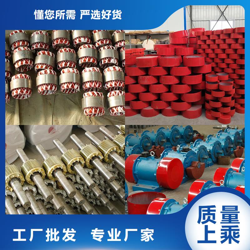 振動電機(jī)振動電機(jī)廠家嚴(yán)格把控每一處細(xì)節(jié)