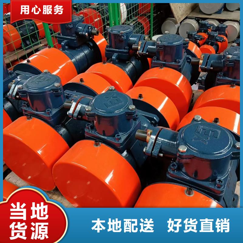 振動電機(jī)平板振動器廠家誠信商家服務(wù)熱情
