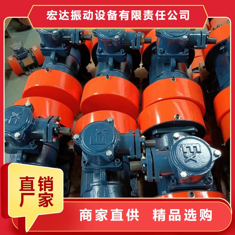 振動電機(jī)振動電機(jī)廠家嚴(yán)格把控每一處細(xì)節(jié)