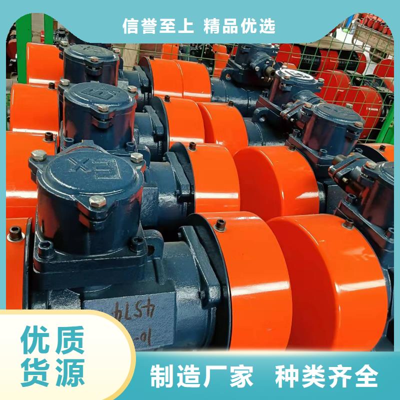 倉壁振動器-防爆電機自有生產(chǎn)工廠