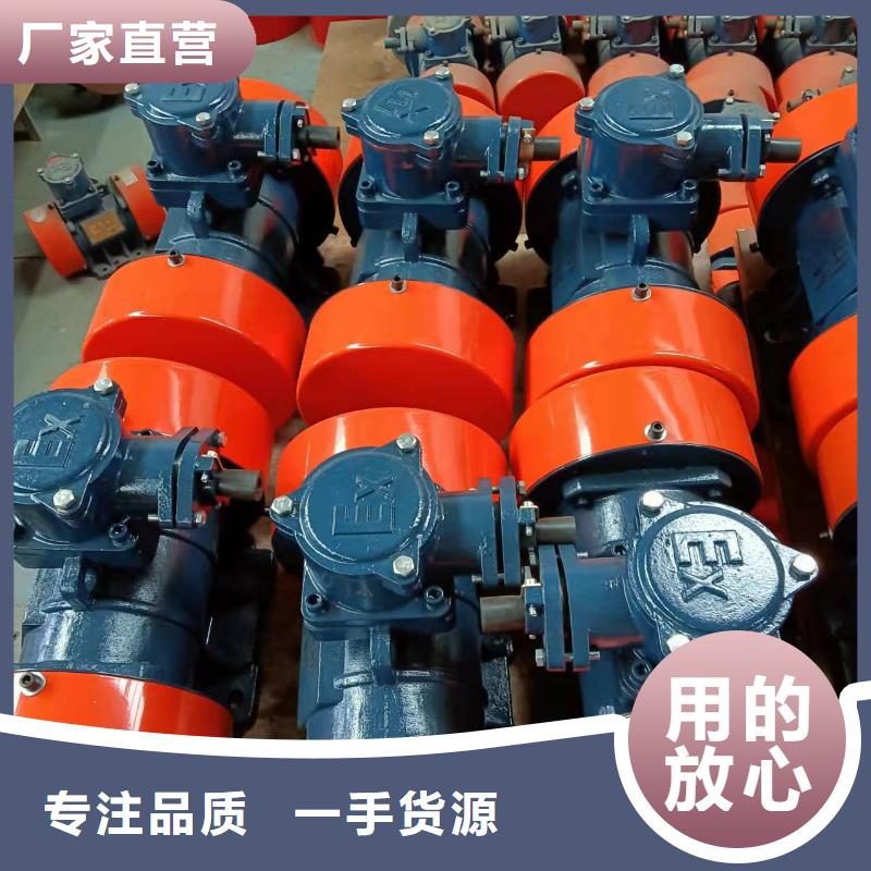 倉壁振動器-防爆電機自有生產(chǎn)工廠