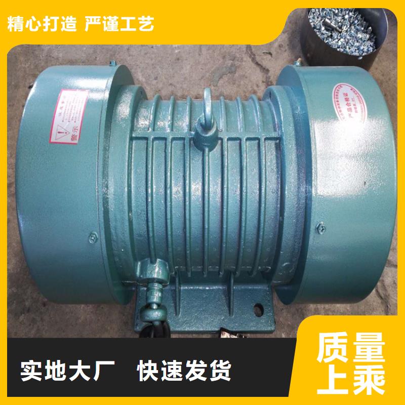 2025質(zhì)量可靠##TZD21-6C振動電機(jī)##廠家批發(fā)