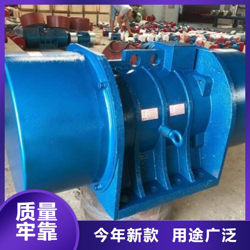 防爆振動(dòng)電機(jī)振動(dòng)篩廠家精工打造