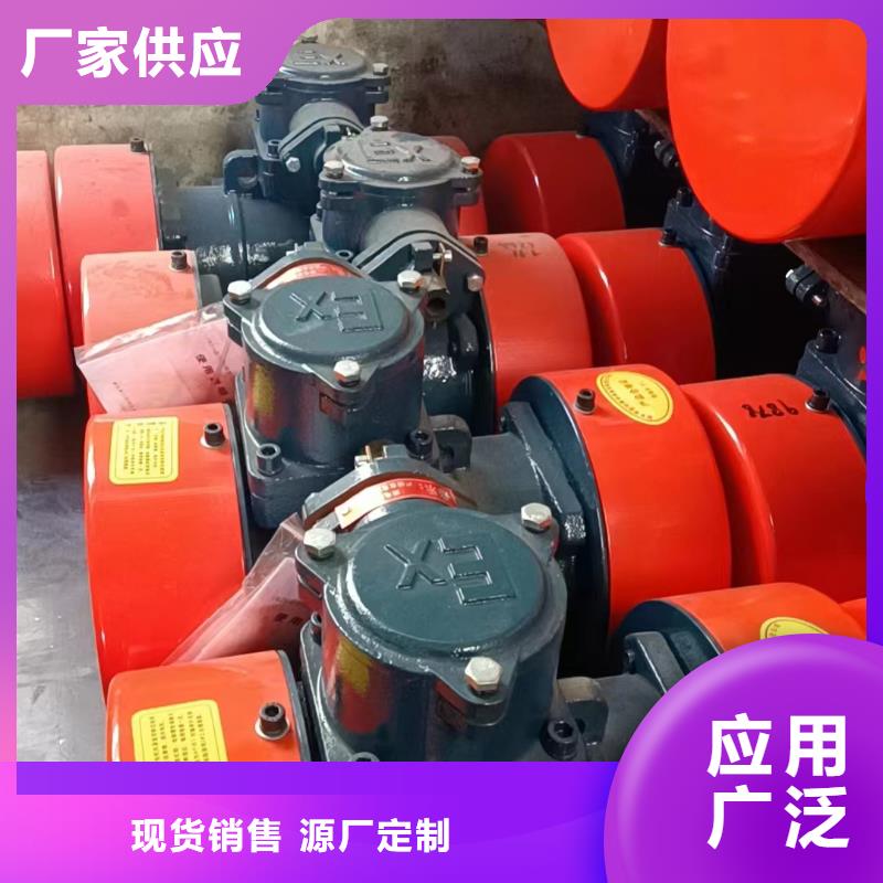 防爆振动电机佐料振动筛服务始终如一