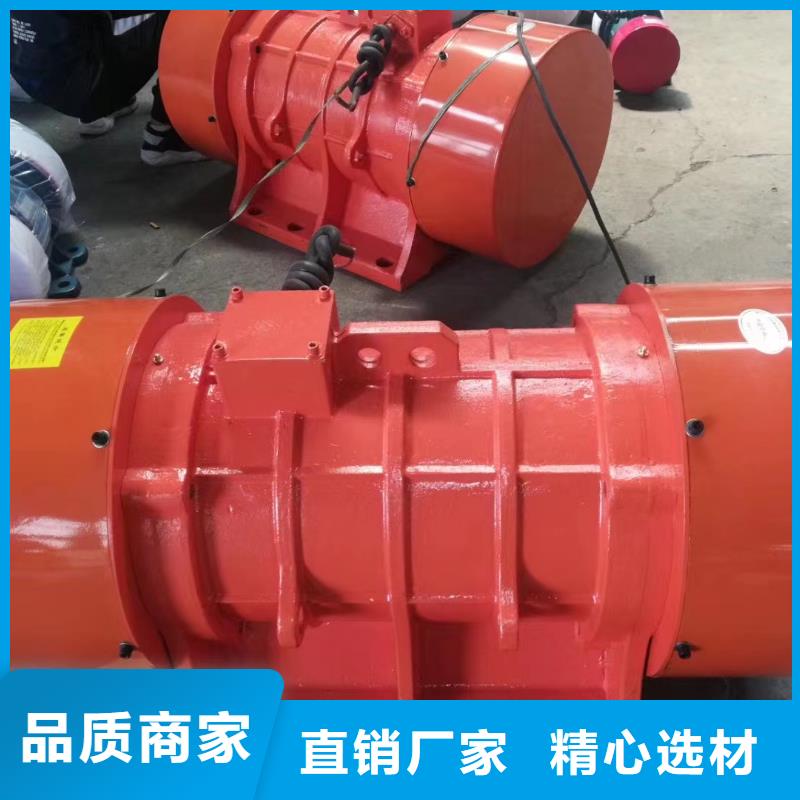 防爆振動(dòng)電機(jī)振動(dòng)篩廠家精工打造