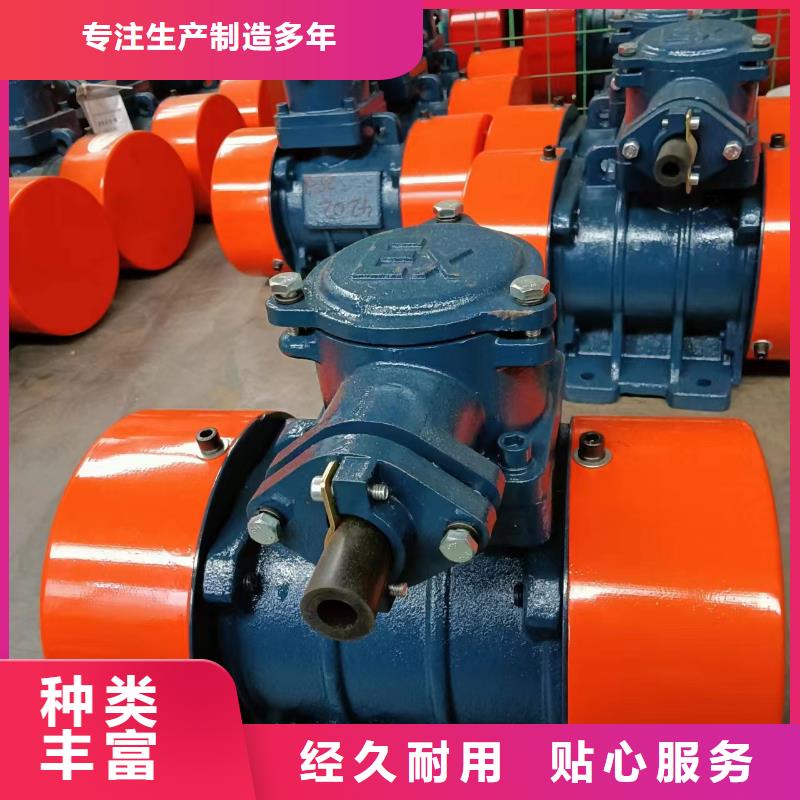 防爆振动电机振动筛高品质现货销售