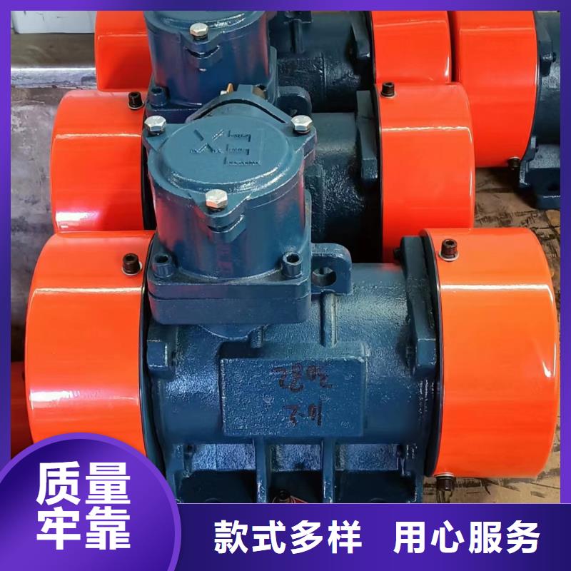 防爆振動電機-振動篩廠家送貨上門
