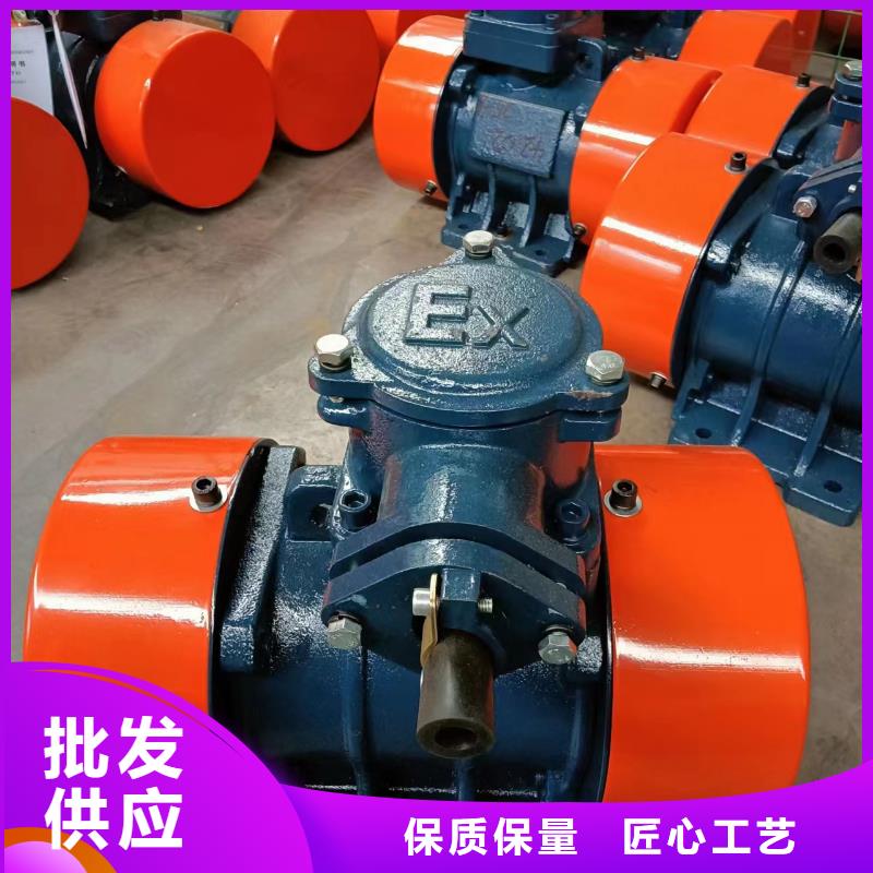 防爆振动电机仓壁振动器精致工艺