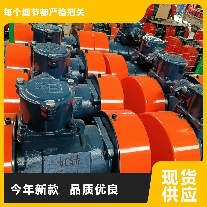 2025質(zhì)量可靠##TZD21-6C振動電機(jī)##廠家批發(fā)