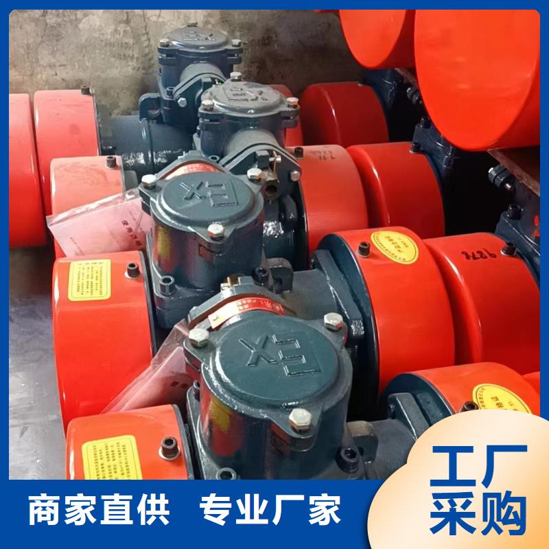 防爆振動電機-振動篩廠家送貨上門