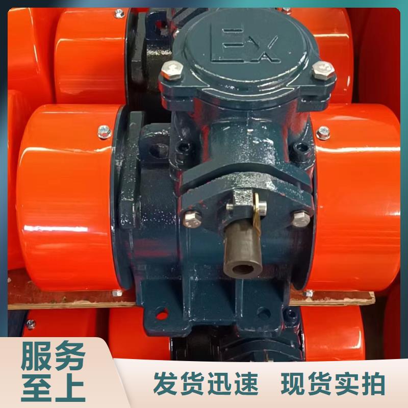 防爆振動電機(jī)振動給料機(jī)好貨有保障