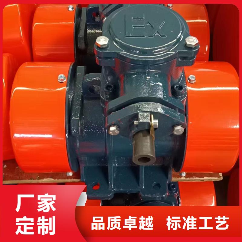 防爆振动电机振动筛支持拿样