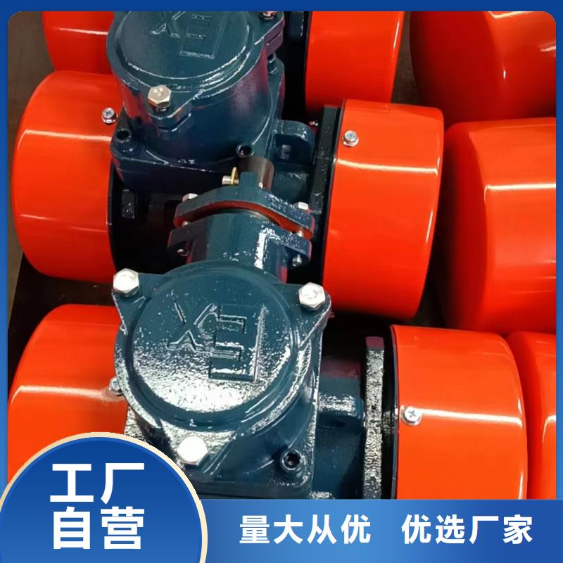 防爆振動(dòng)電機(jī)振動(dòng)平臺(tái)現(xiàn)貨直供