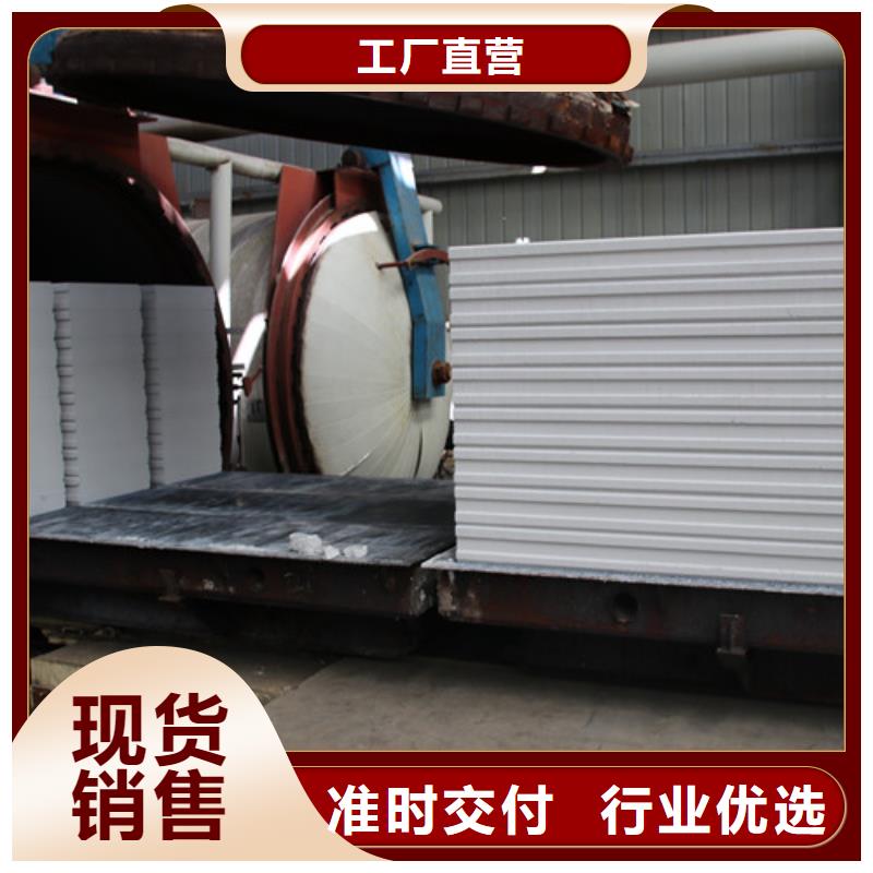 ALC板材建材輕質(zhì)隔墻板AAC板材06AAC砌塊應(yīng)用廣泛