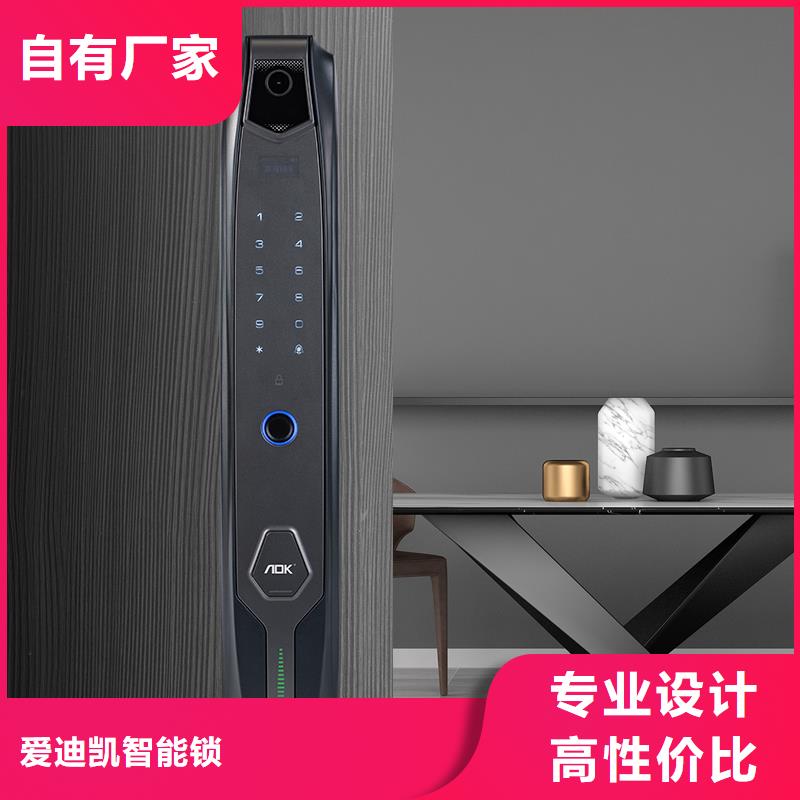 智能鎖指紋鎖顏色尺寸款式定制