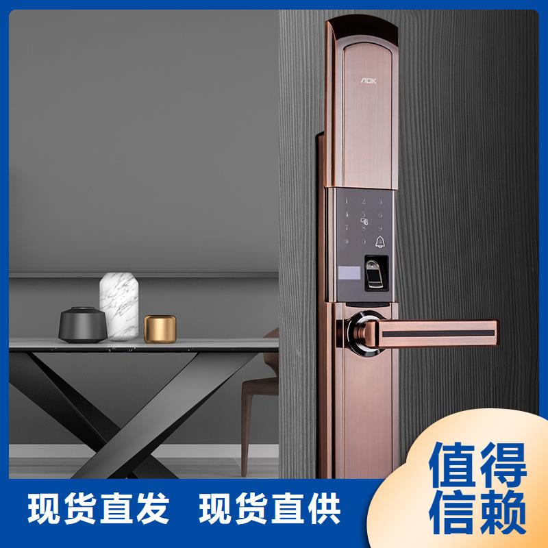 智能鎖_愛迪凱智能鎖廠家供應