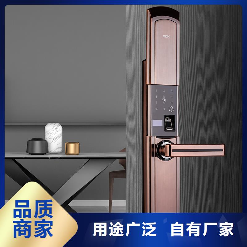 智能鎖指紋鎖銷售加工定制