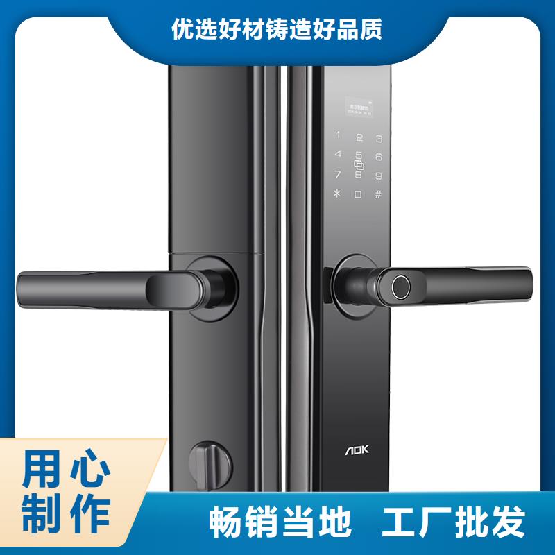 智能锁人脸识别智能锁生产厂家来图定制