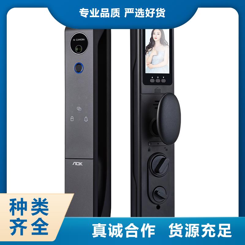 愛迪凱智能電子鎖廠家