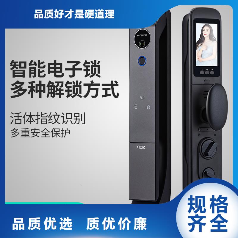 愛迪凱智能電子鎖廠家
