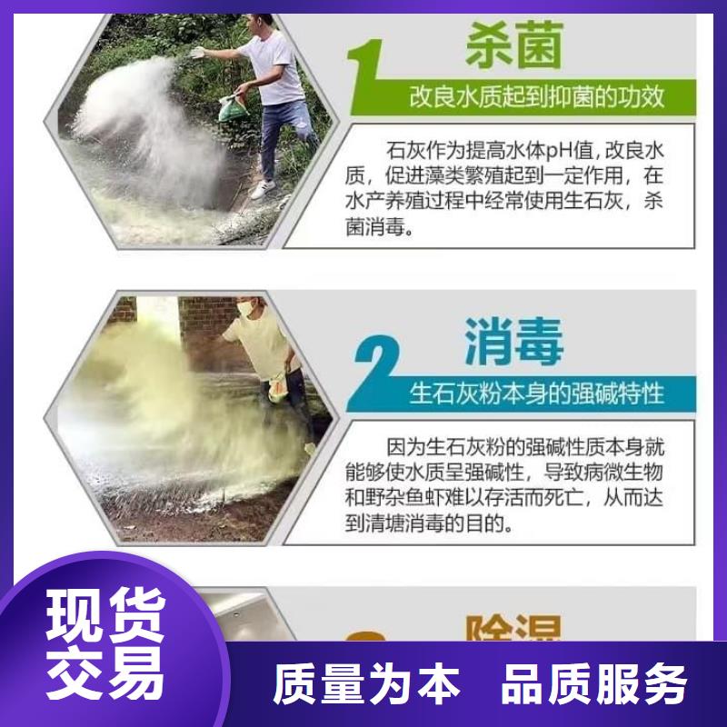 石灰灌裝氧化鈣多年行業(yè)經(jīng)驗(yàn)