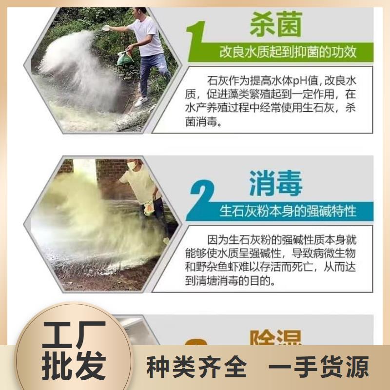 石灰養(yǎng)殖業(yè)消毒白灰  N年生產(chǎn)經(jīng)驗