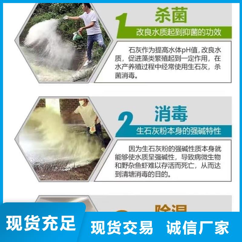 石灰養(yǎng)殖業(yè)消毒白灰  N年生產經驗