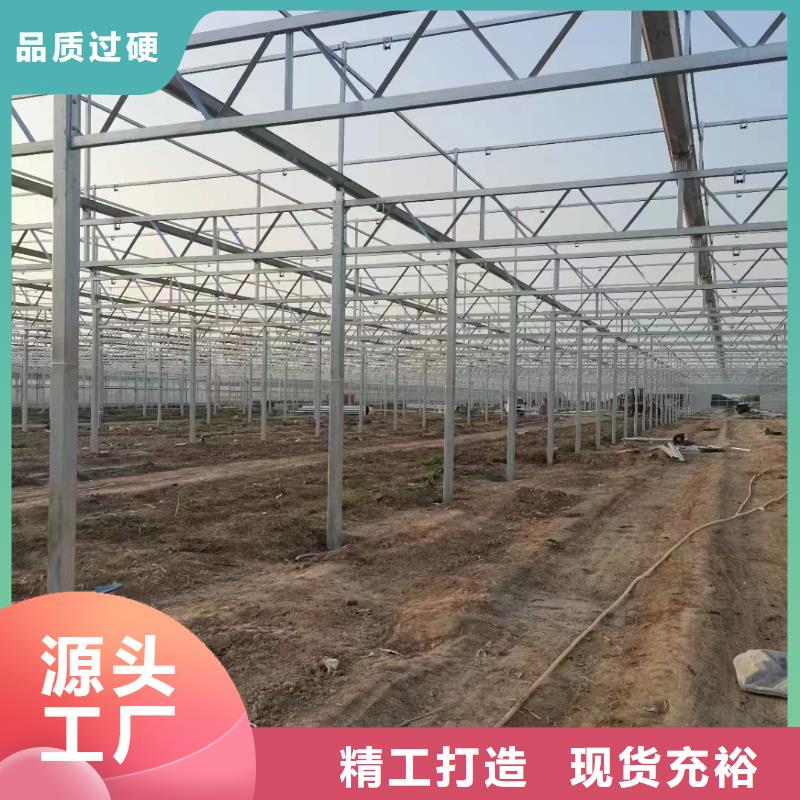 溫室大棚連棟溫室口碑好實力強